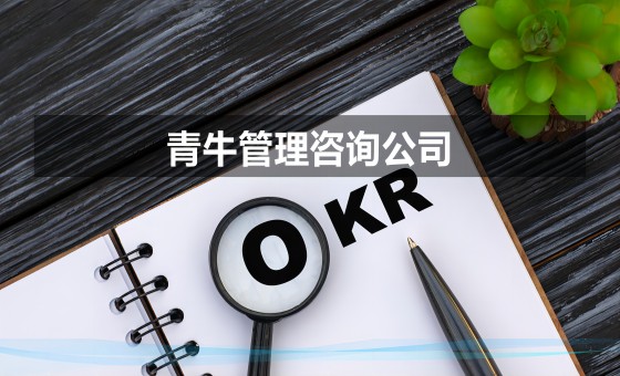 OKR管理(lǐ)咨詢公司排名的現狀